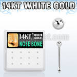 box w 12 white gold nose bones w 1.5mm ball tops