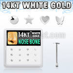 box w 12 white gold nose bones w mixed shaped tops