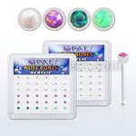 bxa31 box w acrylic nose bones w 1.5mm synthetic opal tops