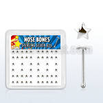 bxvsar box w silver nose bones with plain star shaped tops