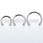 cbmdi5l xxl steel circular barbell, 14g w 5mm dices