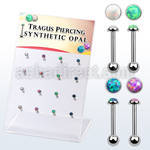 dacb223 display w steel tragus barbells w with a synthetic top