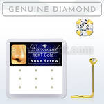 dgisc15 box w 10kt gold nose screws w 1.5 real prong set diamond