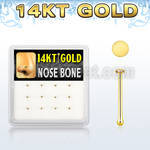 dgnb24 box w 12 14kt gold nose bones, 22g w round flat top