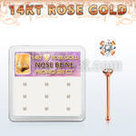 drnb6 box w 14kt rose gold nose bones w 2mm round cz stones