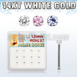 dwnb23 box w 14kt white gold nose bones w 1.25mm round cz 
