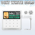 dwsc11 box w 12 pcs of 14kt white gold nose screw w 1.52 mm cz