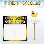 gbrd 14kt gold nose bone with a 2mm plain gold round top