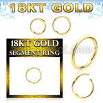 ggsegh16 18k gold hinged segment ring 16g