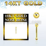 gnbb1b 14kt gold nose bone, 20g w a 1.5mm ball shaped top