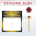gnbge5 14kt gold nose bone with a 2mm prong set ruby stone