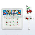 nbch16 box of silver nose bones w 1 4mm crystal cherries