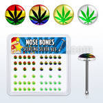 nblgx1 box of silver nose bones with assorted marijuana logo
