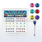 nbmtbx box of silver nose bones with color plated ball tops