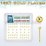 nbx18b2 box of gold plated silver nose bones with 2mm ball top