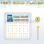 nbx18b box of gold plated silver nose bones with 18k gold ball