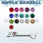 npsh19 surgical steel nipple barbell, 14g with bitch word