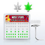 nsma box of silver nose studs with silver green marijuana