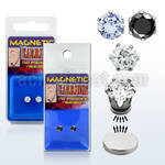 pkmsz pair of magnetic 316l steel ear studs w round prong cz