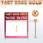 rnbb1 14kt rose gold nose bone w a 1.5mm gold ball shaped top