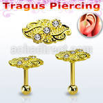 trgt40 gold 316l steel tragus piercing 16g w leaf top w crystal
