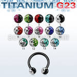 utcbfr3e anodized titanium g23 barbell with 3mm 2 color ball