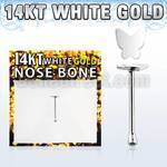 wbbt2 14kt white gold nose bone with 3 5mm plain butterfly top