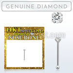 wnpdb1 14kt white gold nose bone w a prong set 1 5mm diamond