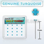 y16pge7 box w bend it silver nose studs w 2mm round turquoise