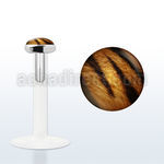 bilg33 labret bio flexible transparente plata esterlina presion 3mm logo rayas cebra negras blancas distribuidor