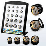brpg175 display 20 dilatadores plug acrIlico negro rosca logo perrito bulldog 2g to 916 6mm 14mm distribuidor mayorista