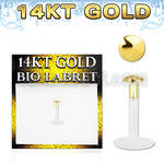 gbird labret bio flexible transparente presion media bola 2mm oro 14 kts distribuidor