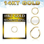 gsegh16 14k gold hinged segment ring
