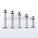 lbb3g labret acero quirurgico bola 3mm distribuidor