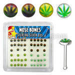 nblgx1 caja display piercing nariz hueso plata esterlina 925 0 6mm disenos variados logos marihuana distribuidor mayorista
