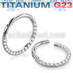 usgsh11 titanium g23 hinged segment ring 16g cz side