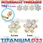utshz5in pvd plated titanium flower top cz for 16g internal