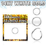 wsegh16 14k white gold hinged segment ring 16g