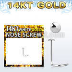 wsrd piercing nariz l oro blanco 14 kts 0 6mm redonda oro liso 2mm distribuidor
